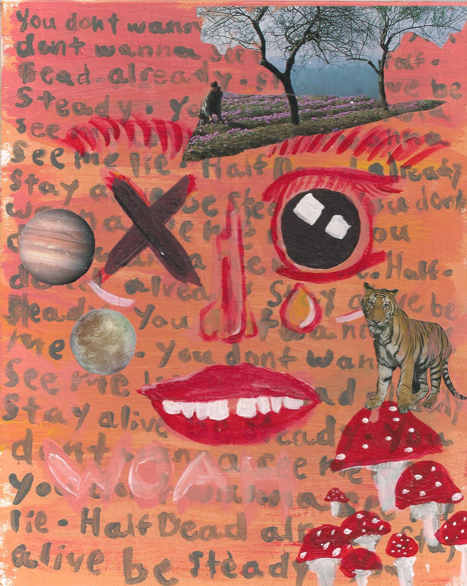 Mixed Media face and collage